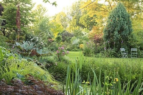 Biosphoto | 1001523 | Palmate Rhubarb and iris at the poolside Jardin des Lianes ; <br>Le jardin des Lianes | &copy; Hervé Lenain / Biosphoto