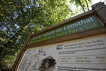 Biosphoto | 2127451 | Panneau du sentier nature du Loosthal, Forêt domaniale de la Petite Pierre, Alsace, France | &copy; Denis Bringard / Biosphoto