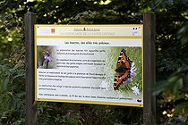 Biosphoto | 2127450 | Panneau sur les insectes du sentier nature du Loosthal vers le Centre de Sauvegarde de la Faune Sauvage, Forêt domaniale de la Petite Pierre, Alsace, France | &copy; Denis Bringard / Biosphoto