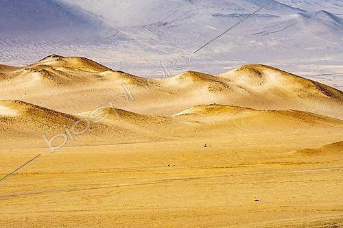Biosphoto | 2628047 | Paracas National Reserve, Ica, Peru. | &copy; Jose Enrique Molina / Biosphoto