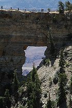 Biosphoto | 1249028 | Parc National de Bryce Canyon dans l'Utah USA | &copy; Jean-François Noblet / Biosphoto