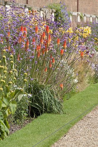 Biosphoto | 2413224 | Parterre de vivaces en fleurs | &copy; Hilde Janssens | Exclusivity Elburg Media / Visions Pictures / Biosphoto