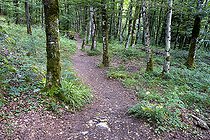 Biosphoto | 2588039 | Path with prohibited access allowing access to the Charabotte tunnels, a popular hiking spot in Bugey at Plateau d'Hauteville, France on July 31, 2024. Access prohibited as a precautionary measure by municipalities to natural sites used as outdoor nature leisure sites. Chemin dont l'acces est interdit permettant d'acceder aux tunnels de la Charabotte, lieu de randonnee frequente dans le Bugey a Plateau d'hauteville, France le 31 juillet 2024. Interdiction d'acces par mesure de precaution par les municipalites a des sites naturels utilises comme site de loisir nature outdoor. | &copy; Antoine Boureau / Biosphoto