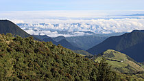 Biosphoto | 2621619 | Paysage d'Altitude à 3500m vu de Yanacocha, Choco Andino, Equateur, Amérique du Sud | &copy; Brigitte Marcon / Biosphoto