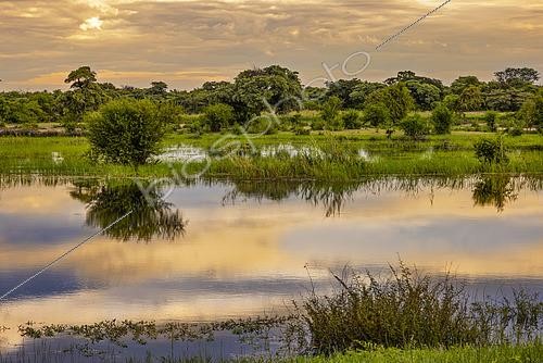Biosphoto | 2600874 | Paysage de la Bande de Caprivi, Namibie, Afrique | &copy; Alain Roux / Biosphoto
