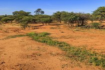 Biosphoto | 2601815 | Paysage de Namibie, Ombokoro mountains, Afrique | &copy; Alain Roux / Biosphoto