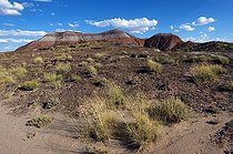 Biosphoto | 1250339 | Paysage des Badlands PN Petrified Forest Arizona USA | &copy; Daniel Heuclin / Biosphoto