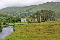 Biosphoto | 2583178 | Paysage d'Écosse, rivière, maison et bosquet de Pins dans la lande, Highlands, Ecosse, RU | &copy; Robin Fourré / Biosphoto