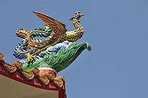 Biosphoto | 1600243 | Peacock, symbol for love, dignity, high rank and beauty, Chinese temple in Bangkok, Thailand, Asia | © Walter G. Allgoewer / imageBROKER / Biosphoto