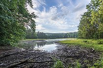 Biosphoto | 2455419 | Peat bog landscape in summer, Éguelshardt, Moselle, France | &copy; Yann Avril / Biosphoto