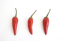 Biosphoto | 1251016 | Peppers flies in the studio | &copy; Laurent Lhoté / Biosphoto