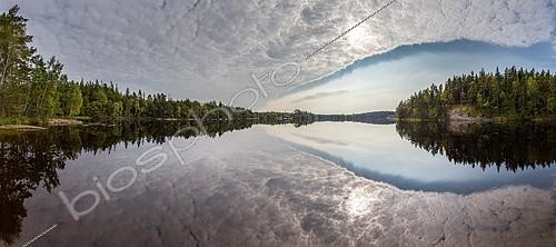 Biosphoto | 2100122 | Perfect reflection in Sandsjön lake, in south-west Sweden at the end of summer. | &copy; Emile Séchaud / Biosphoto