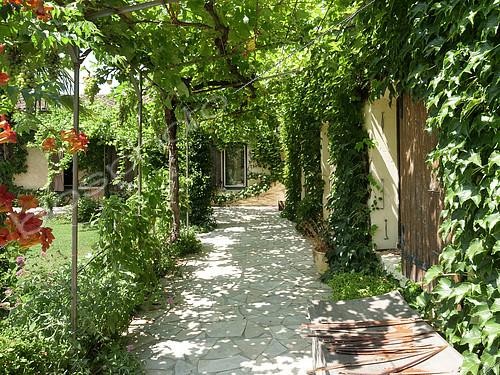 Biosphoto | 2303635 | Pergola en été, Provence, France | &copy; Pierre Huguet-Dubief / Biosphoto