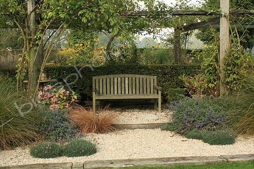 Biosphoto | 754144 | Pergola et banc dans le Jardin de Marie-Ange à Croisette ; Derrière la haie : Rudbeckie 'Herbstsonne' (fleurs jaunes) ; de chaque côté au pied des poteaux : Laîche d'automne, Carex rouge-brun 'Bronze Form', Népétas, Hortensia, Rosier grimpant et Oeillets | &copy; Hervé Lenain / Biosphoto