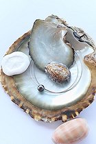 Biosphoto | 2041939 | Perle noire de Tahiti montée sur bijou dans une coquille | &copy; Laurent Lhoté / Biosphoto