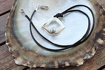 Biosphoto | 2041937 | Perle noire de Tahiti montée sur collier dans une coquille | &copy; Laurent Lhoté / Biosphoto