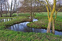 Biosphoto | 2575896 | Petite rivière au milieu des champs, Le Gué-Carré, Change, Sarthe, Pays de la Loire, France | &copy; Michel Gile / Biosphoto