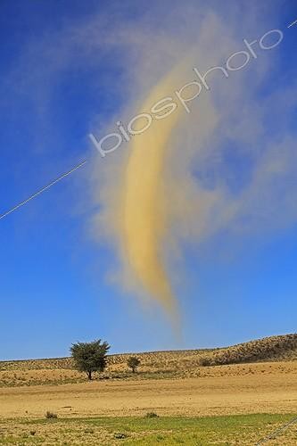 Biosphoto | 1898379 | Petite tornade de sable dans le Désert du Kalahari | &copy; Alain Mafart-Renodier / Biosphoto