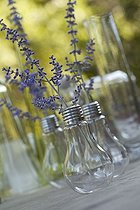Biosphoto | 1367563 | Petits bouquets de Lavande dans des ampoules | &copy; Philippe Giraud / Biosphoto