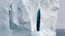 Biosphoto | 2581464 | Pétrel des neiges (Pagodroma nivea) en vol devant la faille bleutée d'un iceberg tabulaire, mer de Ross, Cap Adare, Antarctique | &copy; Raphaël Sané / Biosphoto