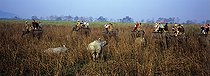 Biosphoto | 1645257 | Photo safari at Elephant back and approach of a Rhino India | &copy; Jean-Louis Le Moigne / Biosphoto