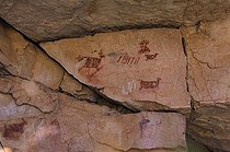 Biosphoto | 1250411 | Pictogrammes Anasazi Grand canyon Arizona USA | &copy; Daniel Heuclin / Biosphoto