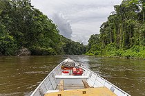 Biosphoto | 2583277 | Pirogue en amazonie. Moyen de transport le plus couramment utilisé pour découvrir l’intérieur des terres en Guyane, remonter les fleuves en pirogue. Ici, l'Aratai, affluent de l'Approuague qui, après 4h de pirogue permet de rejoindre la réserve naturelle nationale des Nouragues - Régina, Guyane Française. | &copy; Vincent Premel / Biosphoto