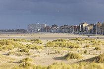 Biosphoto | 2609994 | Plage de Dunkerque et ses dunes, Nord, France | &copy; Yann Avril / Biosphoto