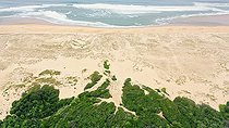 Biosphoto | 2588283 | Plage des Landes et formation d'une baïne au pied d'une forêt de pins des landes, forêt domaniale des dunes du Sud, commune de Seignosse, Nouvelle Aquitaine, France | &copy; Christophe Perelle / Biosphoto