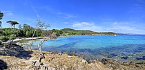 Biosphoto | 2609610 | Plage Notre Dame en été, île de Porquerolle, Var, France | &copy; Dominique Delfino / Biosphoto