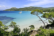 Biosphoto | 2609649 | Plage Notre Dame, île de Porquerolles, Var, France | &copy; Dominique Delfino / Biosphoto