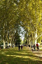 Biosphoto | 1233397 | Plant autumn festival at the Parc de Schoppenwihr in Alsace | &copy; Claude Thouvenin / Biosphoto