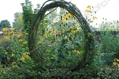 Biosphoto | 754150 | Plant window made by branches and yellow Rubeckies | &copy; Hervé Lenain / Biosphoto