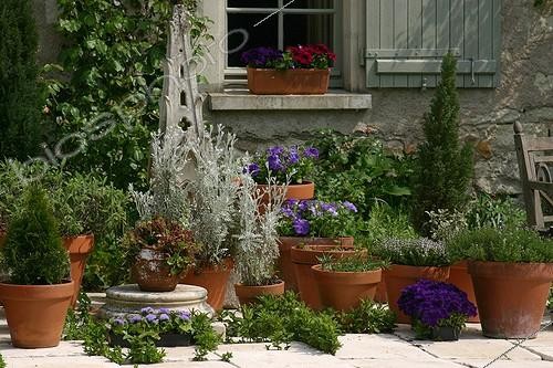 Biosphoto | 1268474 | Plantes aromatiques en pot sur une terrasse de jardin | &copy; Patricia Méaille / Biosphoto