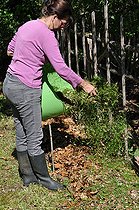 Biosphoto | 2468659 | Planting of climbing plants in a lasagne. | &copy; Serge Lapouge / Biosphoto