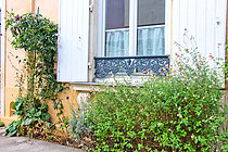 Biosphoto | 2609782 | Planting plants and flowers on the sidewalk in front of a town house, Le Mans, Sarthe, France | &copy; Michel Gile / Biosphoto