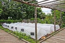 Biosphoto | 2575252 | Plastic greenhouse in the educational vegetable garden of the Arche de la Nature, Sarthe, France | &copy; Michel Gile / Biosphoto