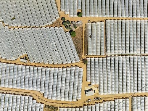 Biosphoto | 2577447 | Plastic greenhouses with strawberry cultivations near the town of Lepe. Aerial view. Drone shot. Huelva province, Andalusia, Spain. | &copy; Thomas Dressler / Biosphoto