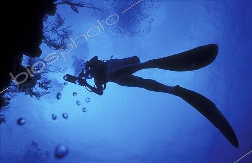 Biosphoto | 38929 | Plongeur en contre jour Bahamas | &copy; Yvette Tavernier / Biosphoto