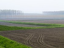 Biosphoto | 2547081 | Po Valley, Italy | &copy; David Tatin / Biosphoto