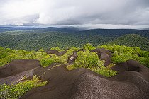 Biosphoto | 2583271 | Point de vue depuis l'Inselberg de la réserve naturelle des Nouragues. Point de vue de toute la forêt et la canopée depuis le sommet de l'inselberg. Les Inselbergs, aussi appelés « savanes-roches » en Guyane peuvent également se présenter comme de grandes étendues plus ou moins plates de granit dénudé - Régina, Guyane Française. | &copy; Vincent Premel / Biosphoto