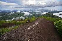 Biosphoto | 2583273 | Point de vue depuis l'Inselberg de la réserve naturelle des Nouragues. Point de vue de toute la forêt et la canopée depuis le sommet de l'inselberg. Les Inselbergs, aussi appelés « savanes-roches » en Guyane peuvent également se présenter comme de grandes étendues plus ou moins plates de granit dénudé - Régina, Guyane Française. | &copy; Vincent Premel / Biosphoto