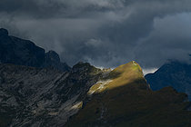 Biosphoto | 2609410 | Pointe de Sans Bet au soleil à Sixt Fer-à-cheval, Alpes, Haute-Savoie, France | &copy; Michel Rauch / Biosphoto