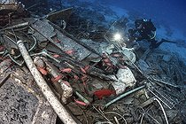 Biosphoto | 2583347 | Poisson-soldat (Myripristis sp). Épave d'un navire coulé de la compagnie Emperor Fraiser, cette épave se distingue par sa cargaison particulière d'articles de santé. Péninsule du Sinaï. Mer Rouge, Égypte. | &copy; Sergio Hanquet / Biosphoto