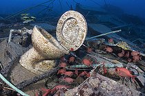 Biosphoto | 2583348 | Poisson-soldat (Myripristis sp). Épave d'un navire coulé de la compagnie Emperor Fraiser, cette épave se distingue par sa cargaison particulière d'articles de santé. Péninsule du Sinaï. Mer Rouge, Égypte. | &copy; Sergio Hanquet / Biosphoto