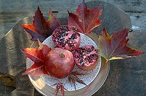 Biosphoto | 2546840 | Pomegranates (Punica granatum), fruits (seeds, arils, antioxidants) in a plate and autumn leaves | &copy; Catherine Fruhinsholz / Biosphoto