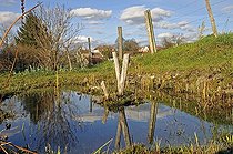 Biosphoto | 1251526 | Pond in the garden of a house in France Brognard | &copy; Dominique Delfino / Biosphoto