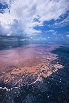 Biosphoto | 2547002 | Ponte des coraux à la surface de l'eau, Mayotte. Les coraux ont pondu pendant la nuit du 15 octobre 2022. Ce sont des millions d'oeufs qui s'agglutinent au grès des courants marins. Ils partiront au large pour mieux revenir sous forme de larve et se fixer sur un substrat dur pour enfin devenir un polype de corail. | &copy; Gabriel Barathieu / Biosphoto