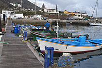 Biosphoto | 2609471 | Port de Garachico, secteur de la pêche. Guilde des pêcheurs de San Roque et Isla Baja de Garachico, Tenerife, Îles Canaries. | &copy; Sergio Hanquet / Biosphoto