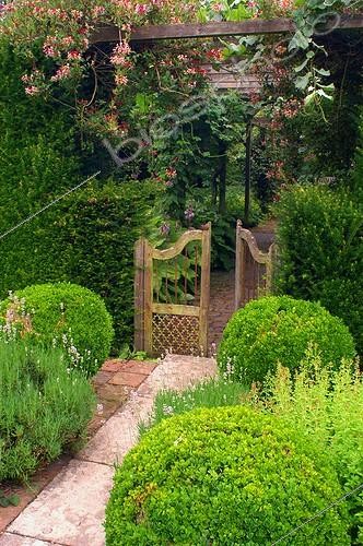 Biosphoto | 60068 | Portail & allée de lavande et buis au jardin de Plantbessin  | &copy; Frédéric Didillon / Biosphoto